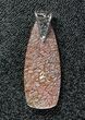 Pink Agatized Dinosaur Bone (Gembone) Pendant #54083-2